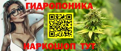 мяу мяу мука Азнакаево