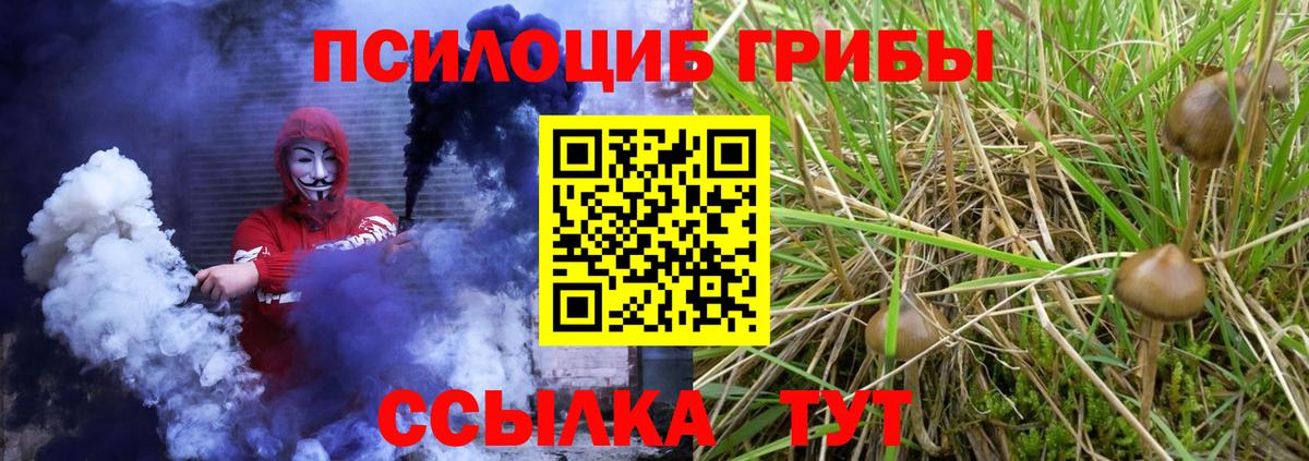 Галлюциногенные грибы Cubensis Ангарск